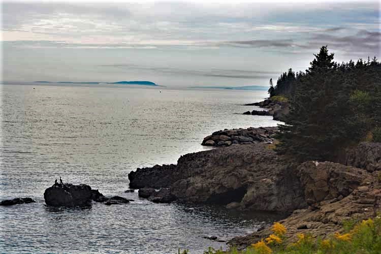 rocky shore
